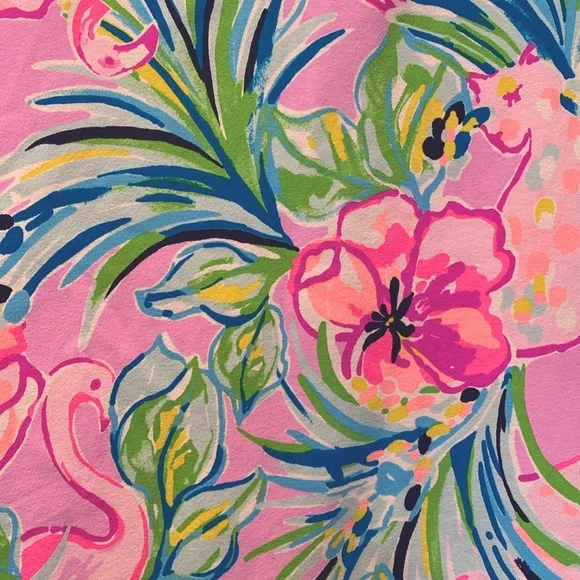 Lilly Pulitzer Monica Skort EUC - Picture 5 of 9